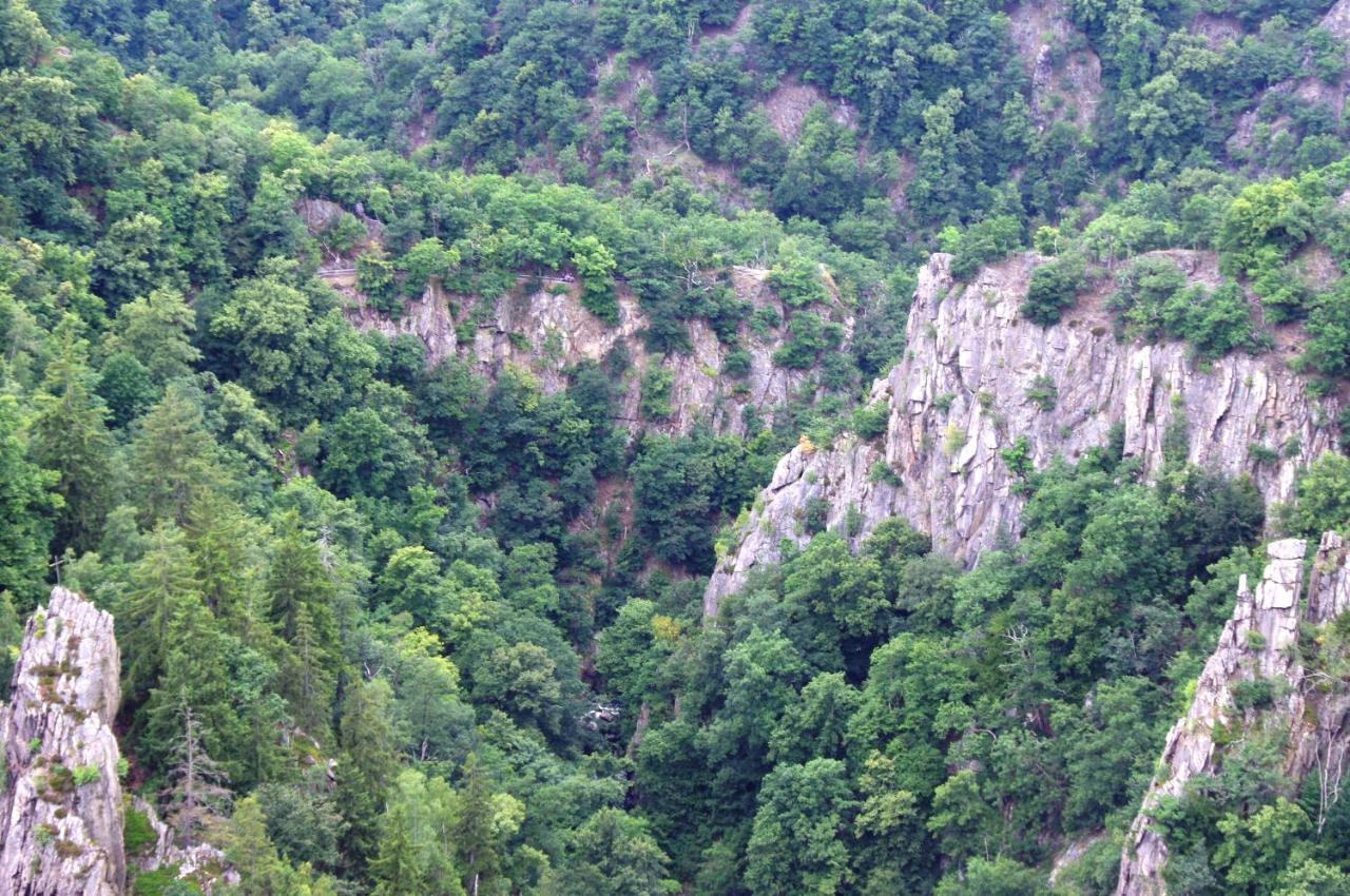 בלאנקנבורג Feriendomizil Schlossblick מראה חיצוני תמונה